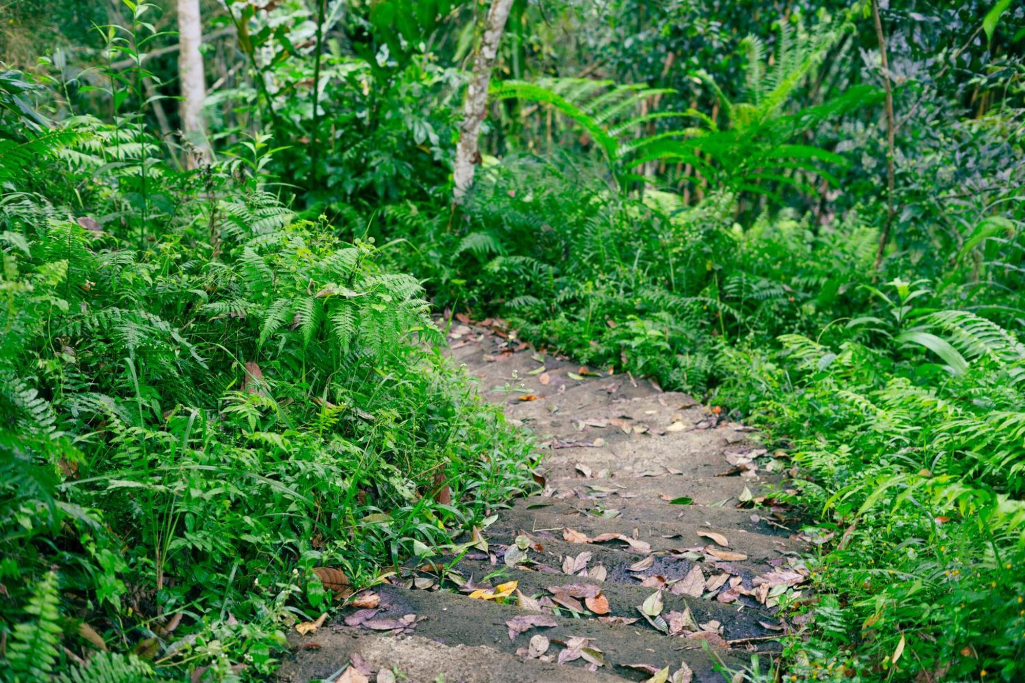 Santya Loka Lodge & Twin Waterfall Jatiluwih Exterior photo