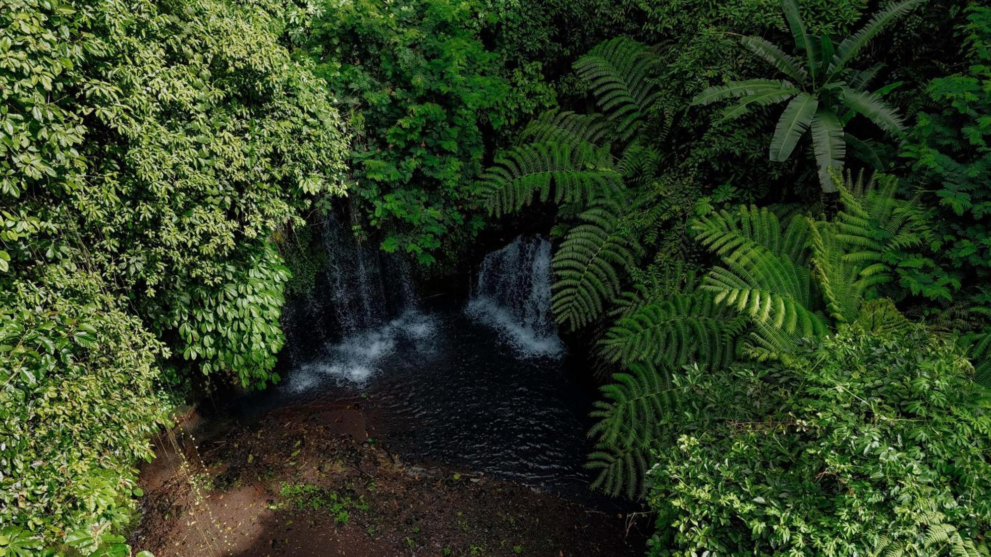 Santya Loka Lodge & Twin Waterfall Jatiluwih Exterior photo