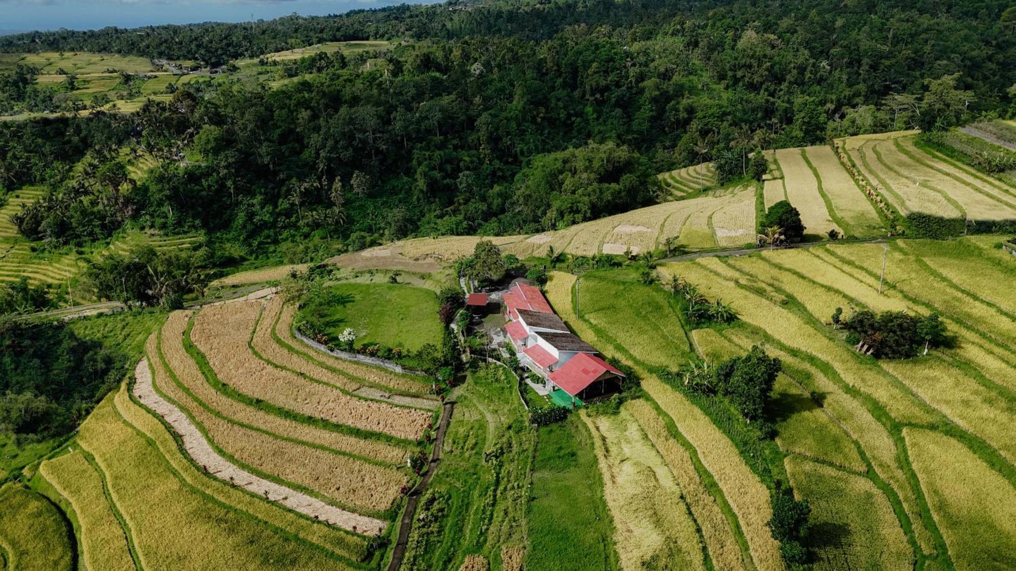 Santya Loka Lodge & Twin Waterfall Jatiluwih Exterior photo