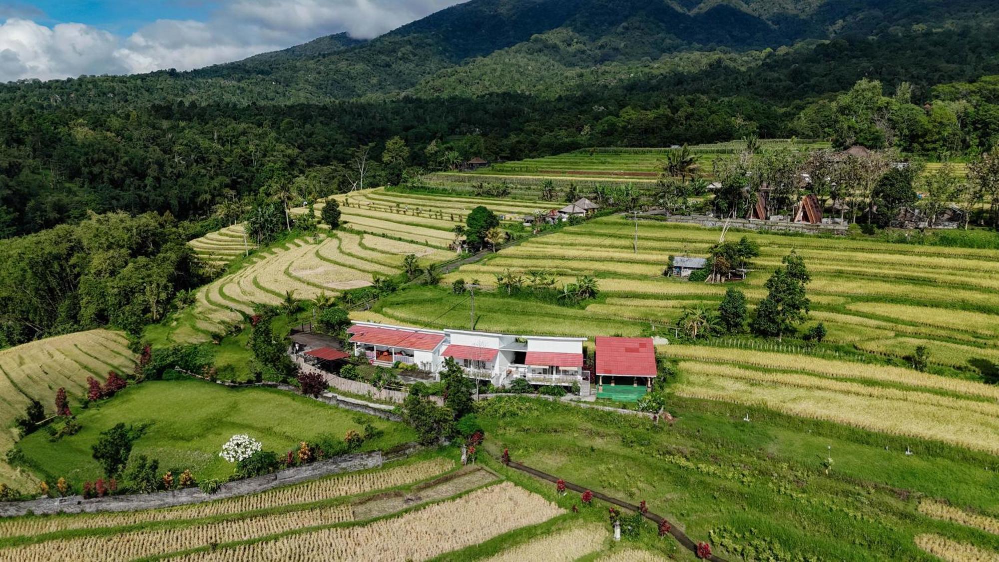 Santya Loka Lodge & Twin Waterfall Jatiluwih Exterior photo