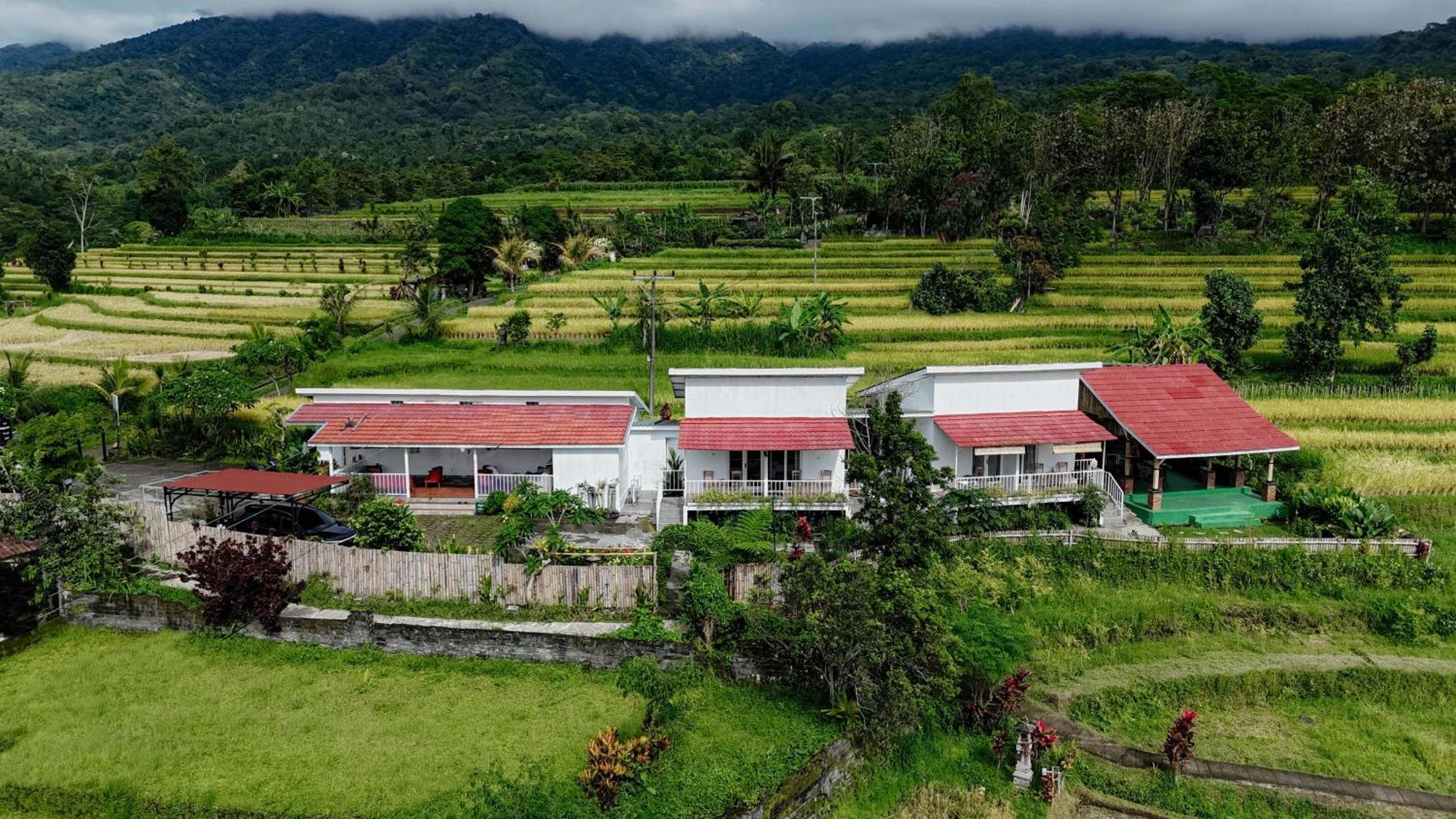 Santya Loka Lodge & Twin Waterfall Jatiluwih Exterior photo